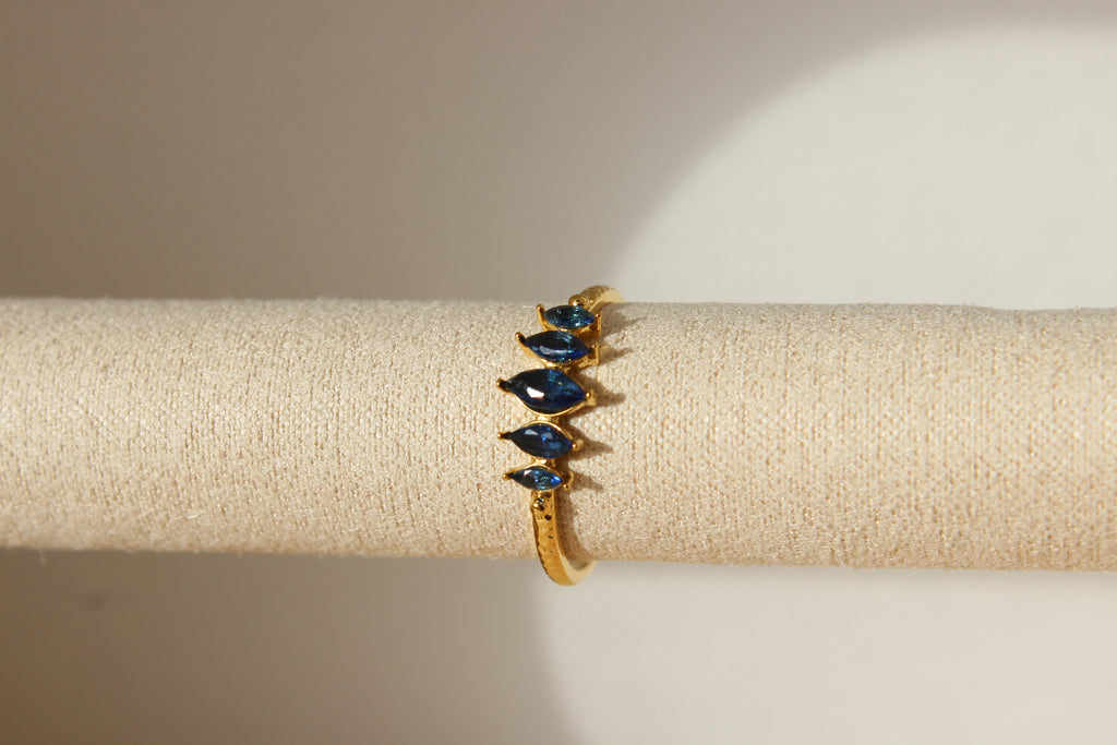 Anillo Origen