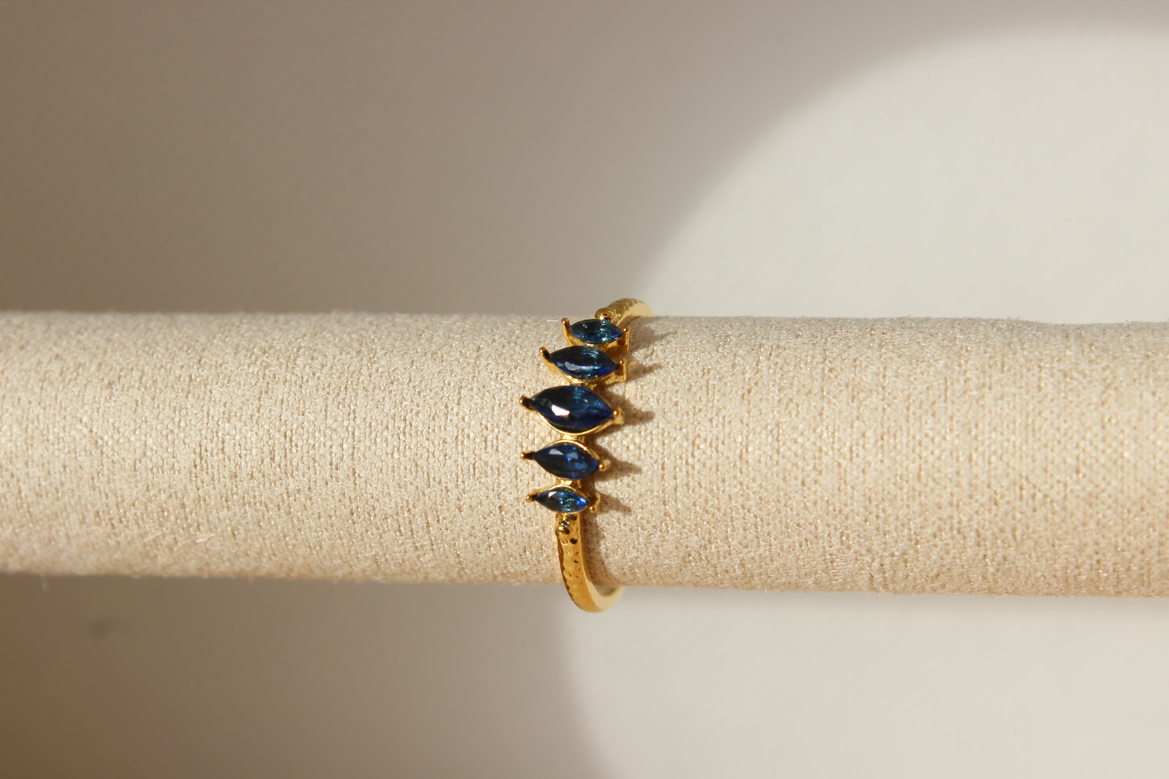 Anillo Origen