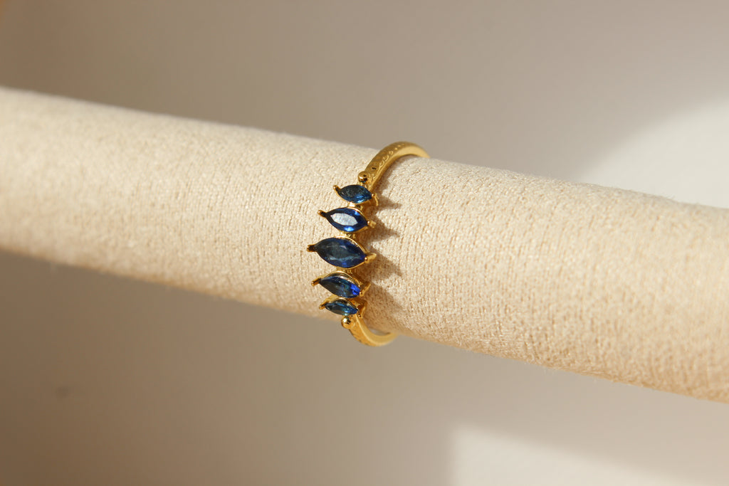 Anillo Origen