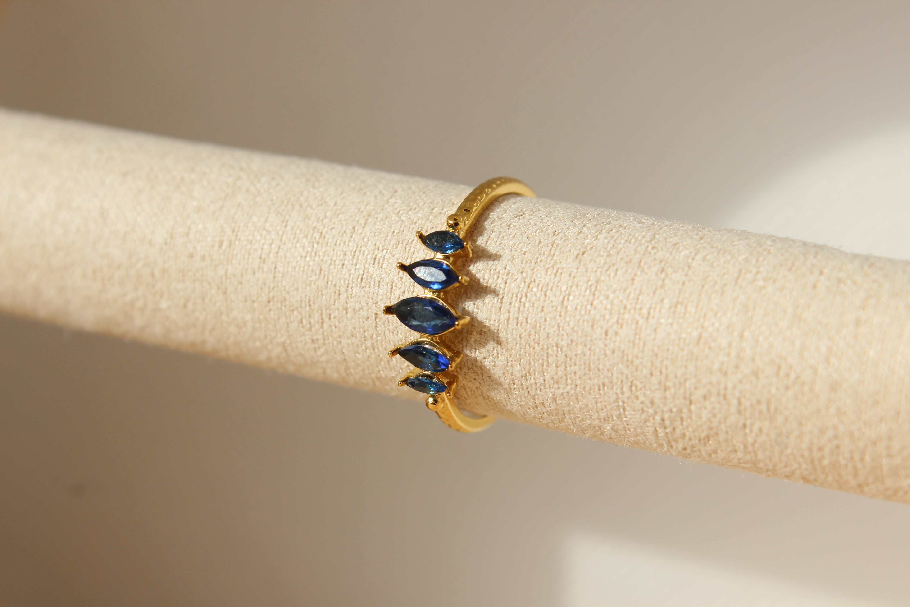 Anillo Origen