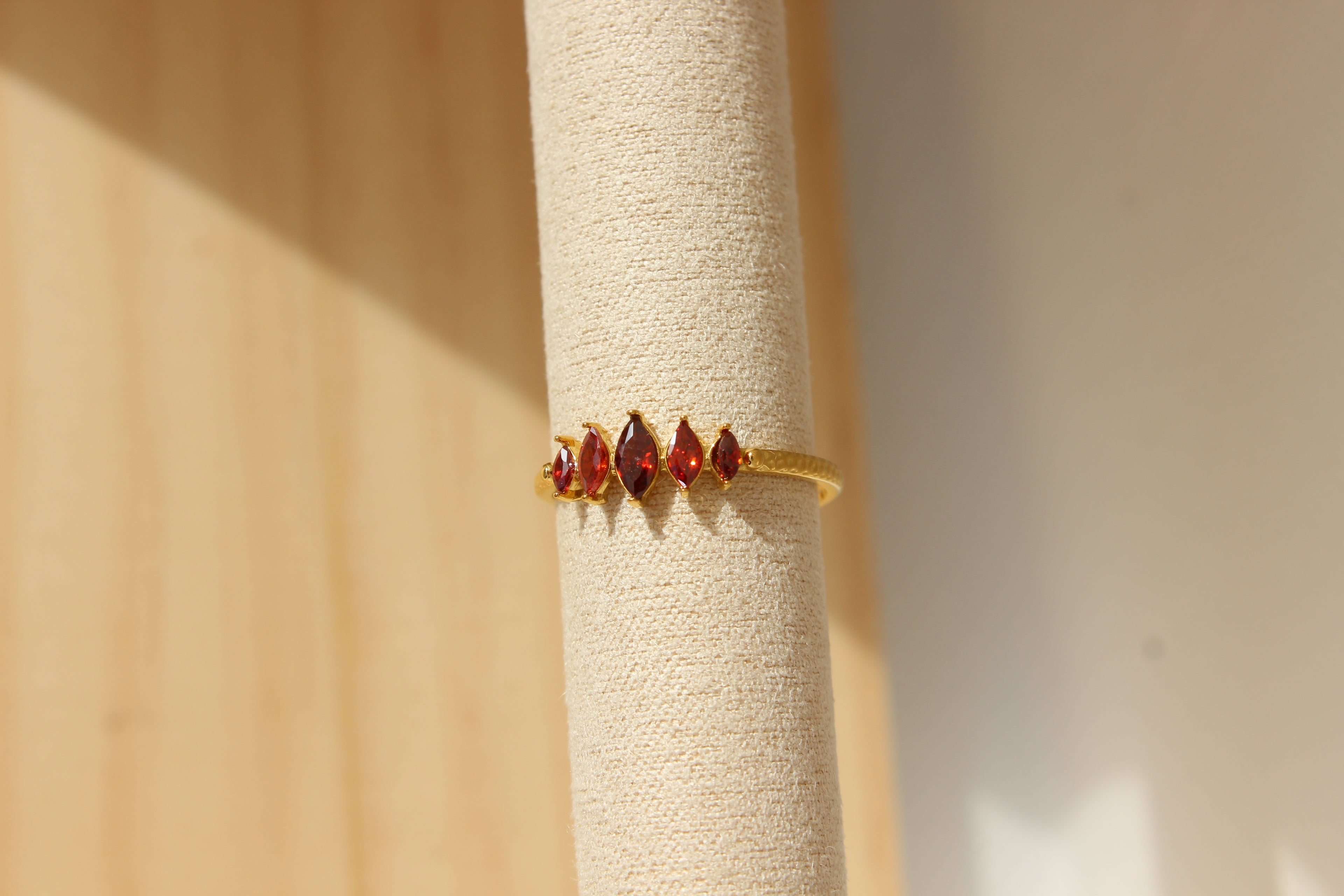 Anillo Origen
