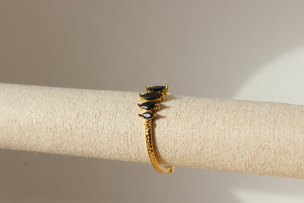 Anillo Origen